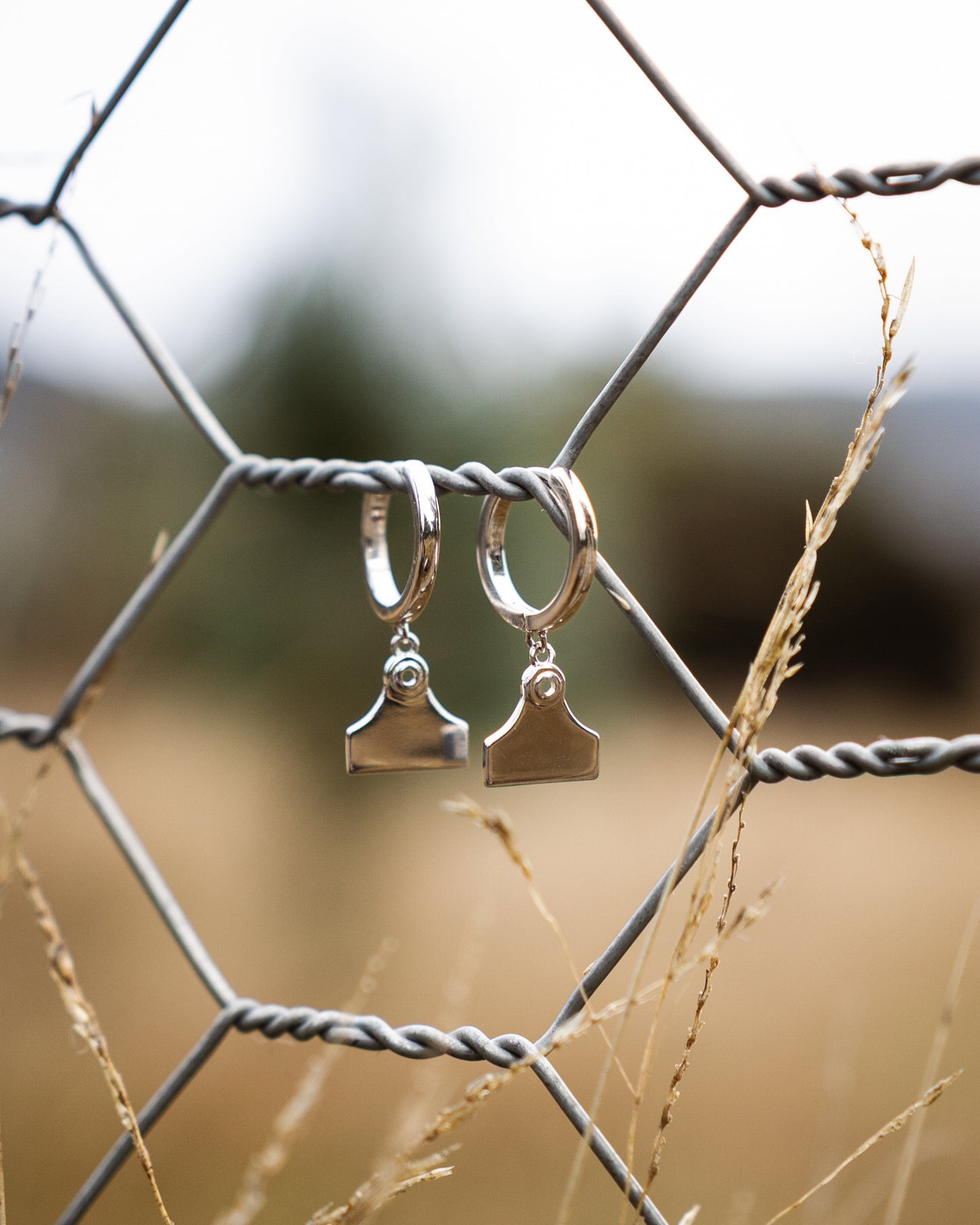 Cattle Tag Bundle (Necklace and Earrings)