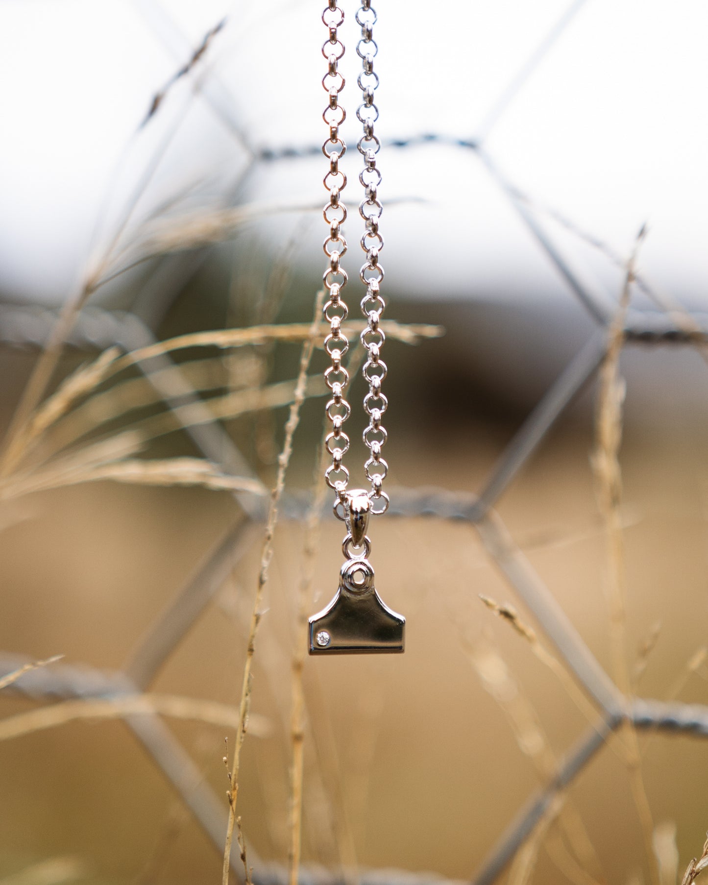 Cattle Tag Bundle (Necklace and Earrings)