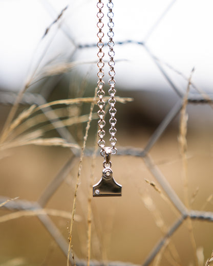 Cattle Tag Bundle (Necklace and Earrings)